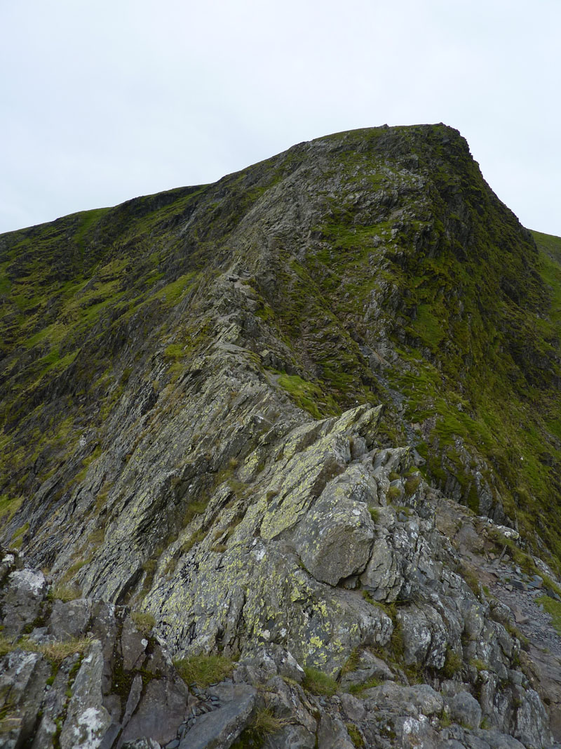 Sharp Edge